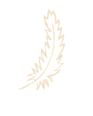 Représentation des Premières Nations